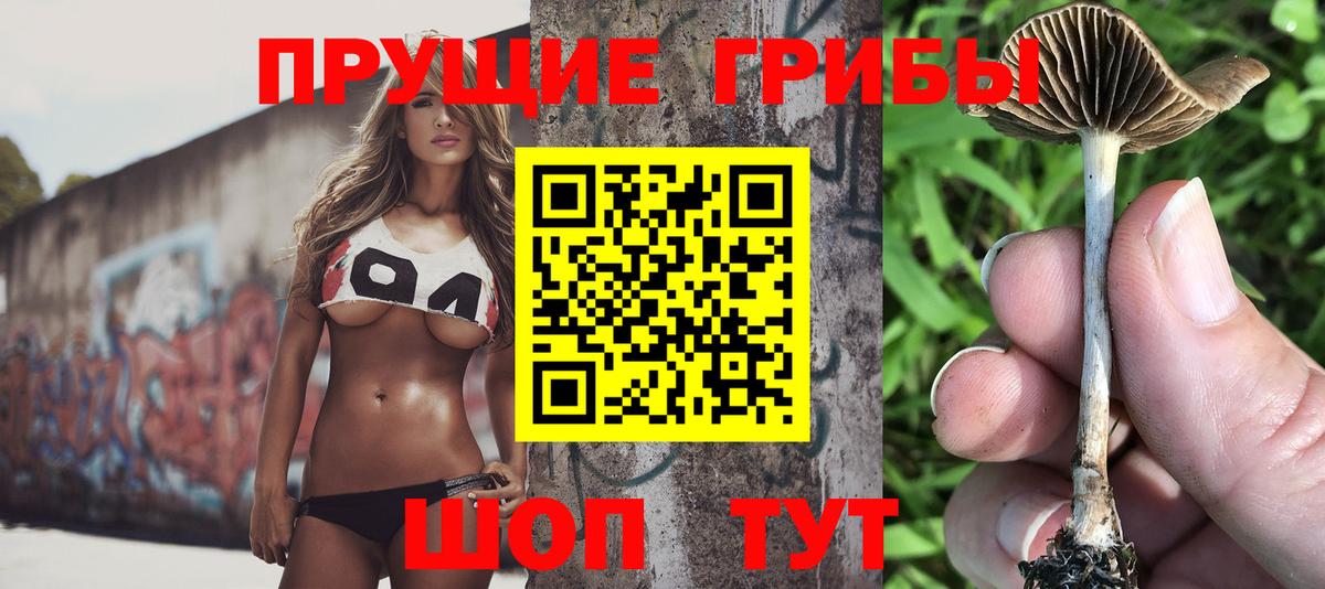 Нягань  Псилоцибиновые грибы ЛСД  Вход с VPN 